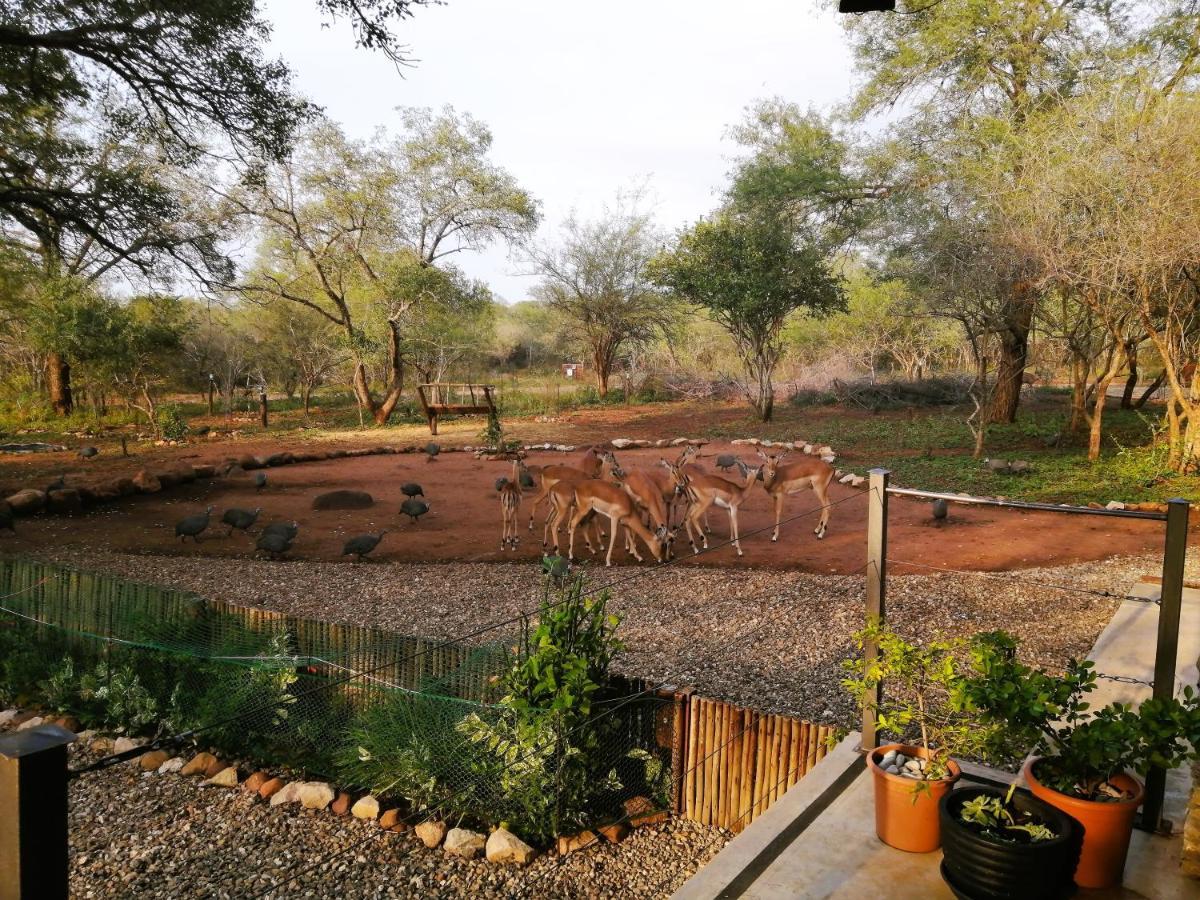 Holiday home Flight Of The Eagle @ Kruger *
