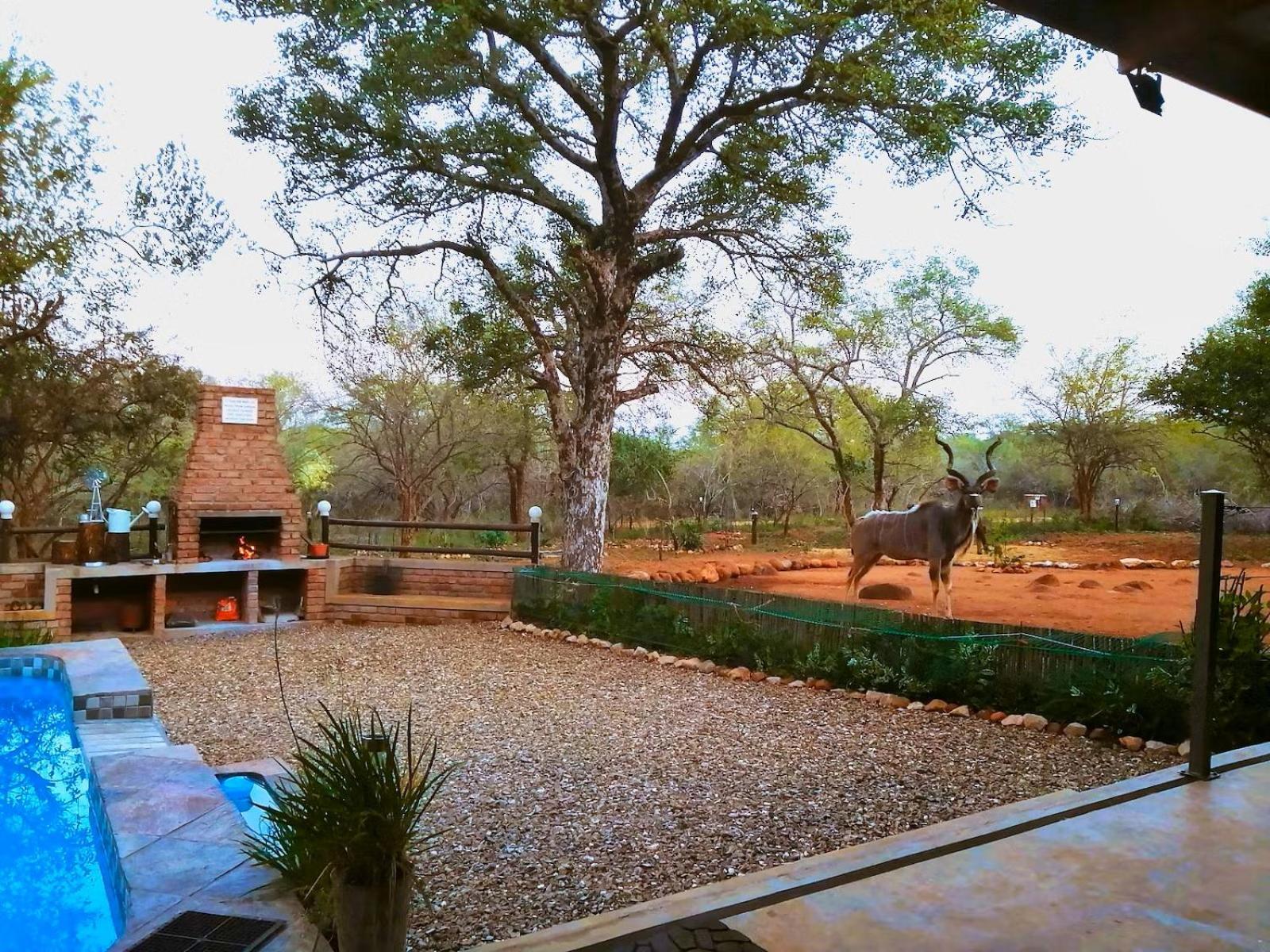 Flight Of The Eagle @ Kruger Holiday home Marloth Park