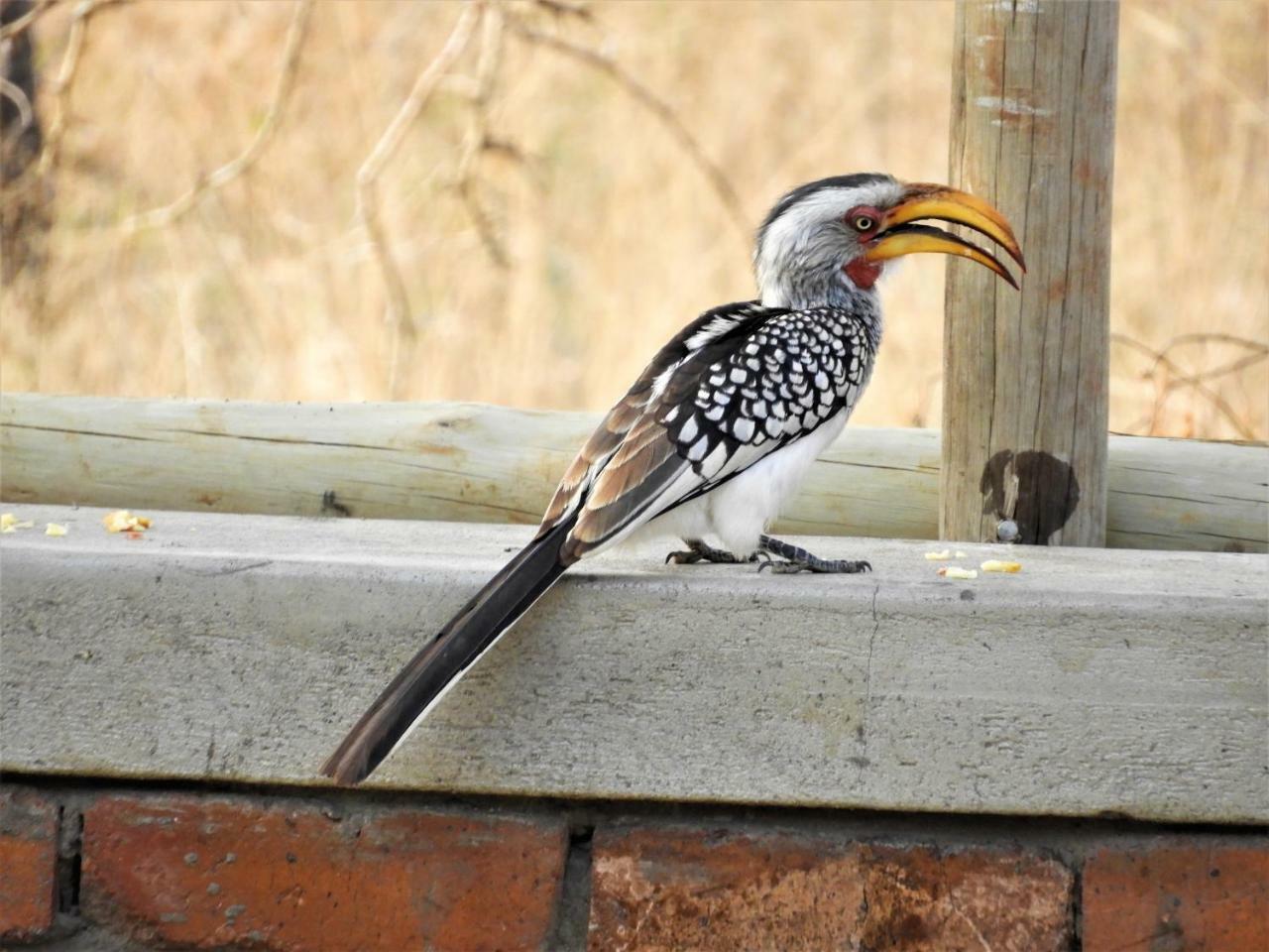 Holiday home Flight Of The Eagle @ Kruger