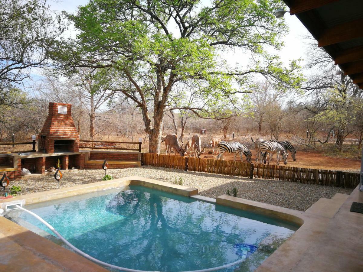 Flight Of The Eagle @ Kruger